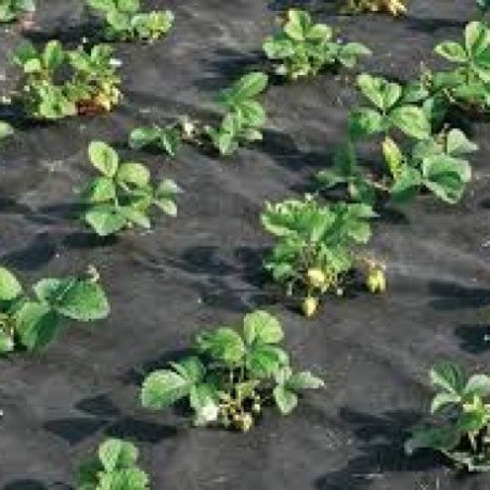 Trebor Netkaná textília 1,6x5m čierna 45550