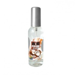 Trebor Osviežovač vzduchu v spreji Air parfume Coconut AP-CO