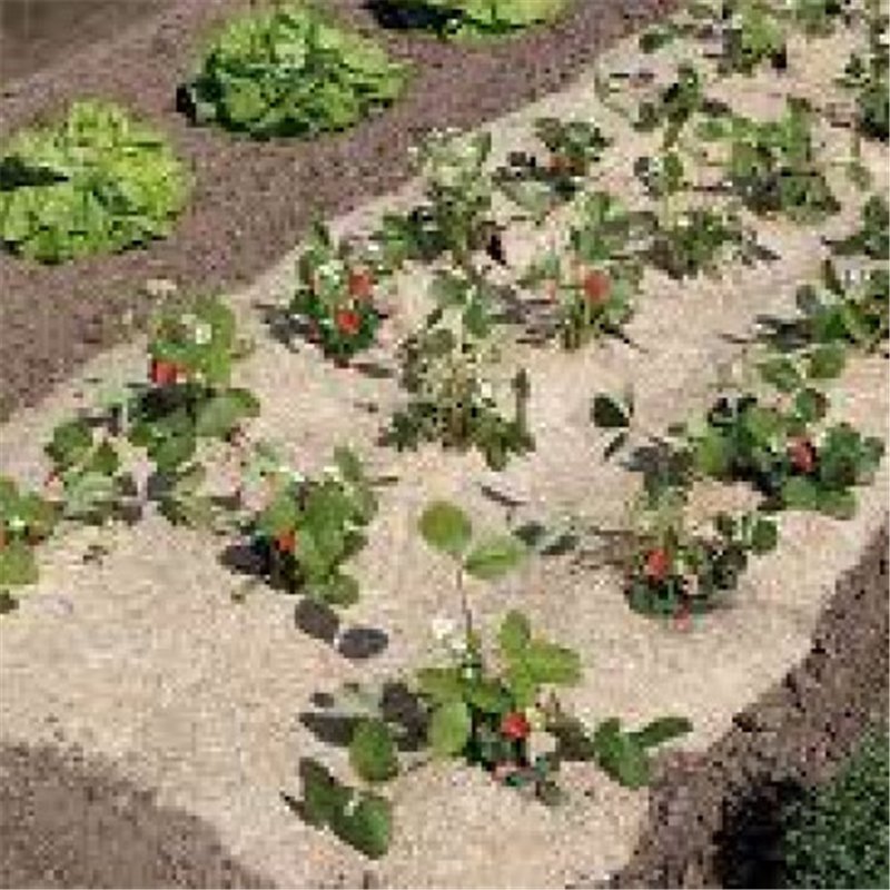 Trebor Pokrývka pôdy FLAXHEMP 0,49x3m prírodná BIO 2017016