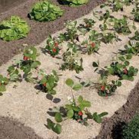 Trebor Pokrývka pôdy FLAXHEMP 0,49x3m prírodná BIO 2017016