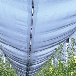 Trebor Sieť proti krúpám 4x10m 2008449