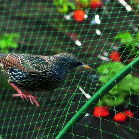 Trebor Sieť proti vtákom zelená M400 4x20m 121001