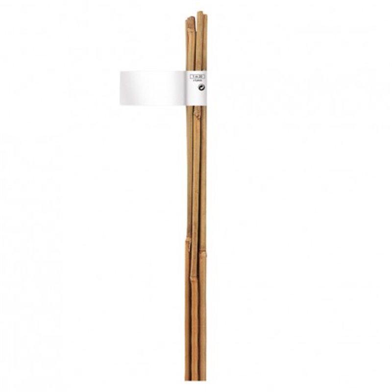 Trebor Bambusová tyč prírodná o10-12mmx1,5m 140834