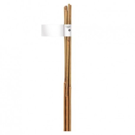 Trebor Bambusová tyč prírodná o12-14mmx1,8m 140835