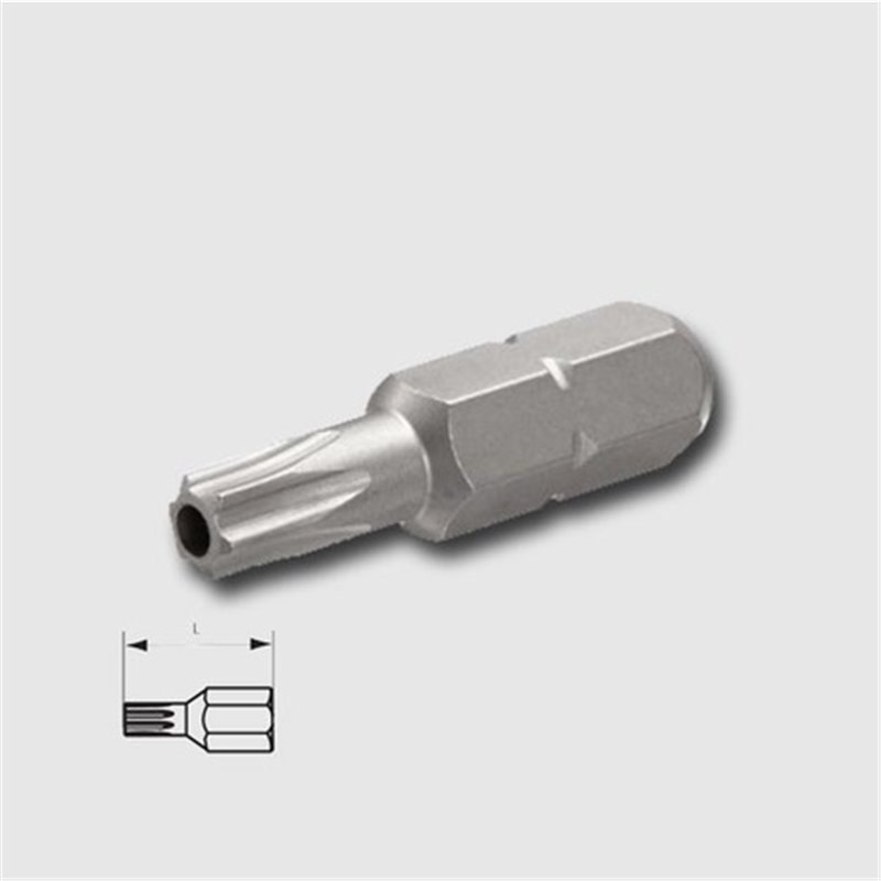 HONITON Bit 1/4&quot T20 s otvorom L25mm (torx) RS S2 systém HW965-11-02520
