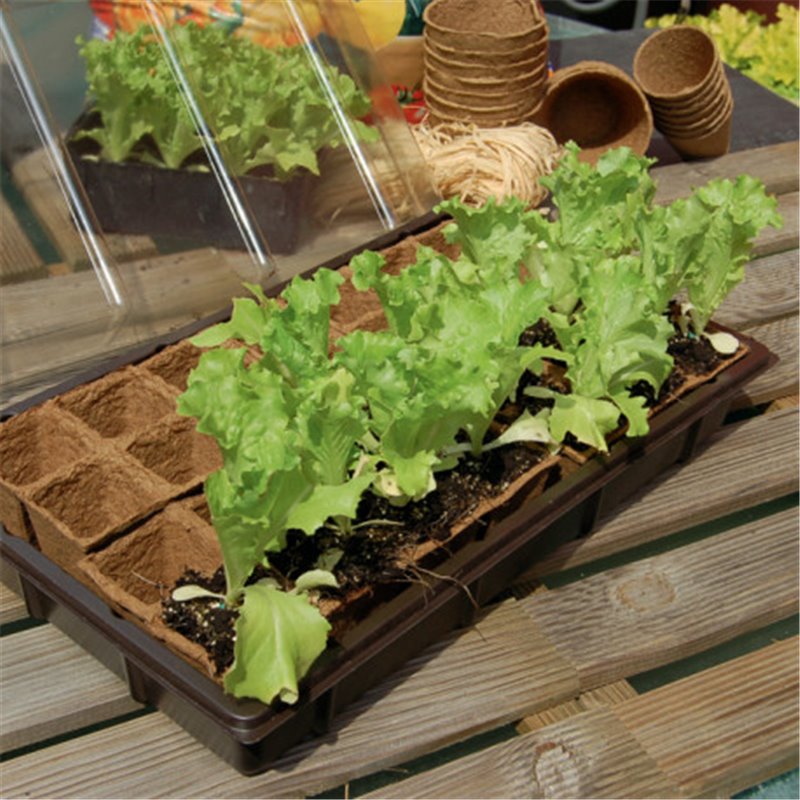 Trebor Mini skleník Growing Kit 38x23cm 160008